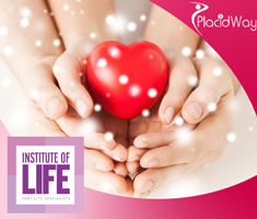 Slider image (4) Institute of Life